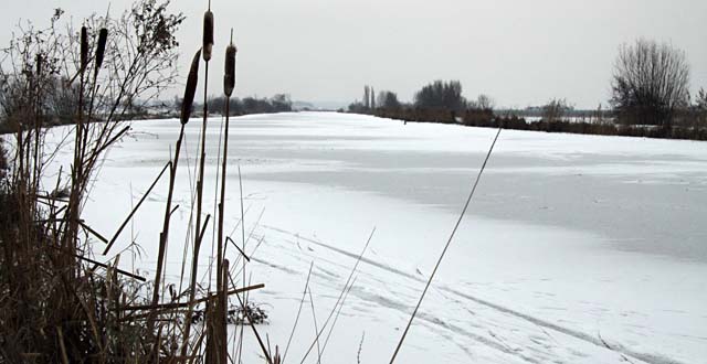 Winter 2010-2011 - Beelden van ijsperiode nummer één